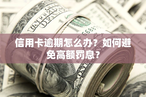 济南信用卡逾期怎么办？如何避免高额罚息？